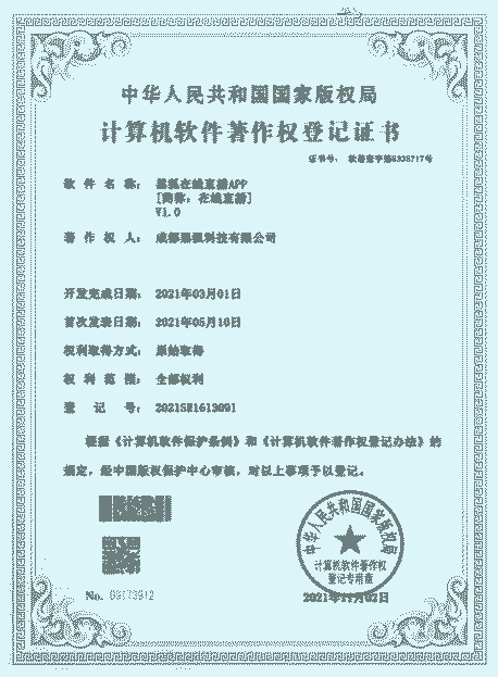 数据可视化大屏软著证书